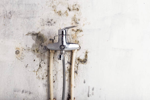Best Emergency Mold Removal  in Del Rey Oaks, CA