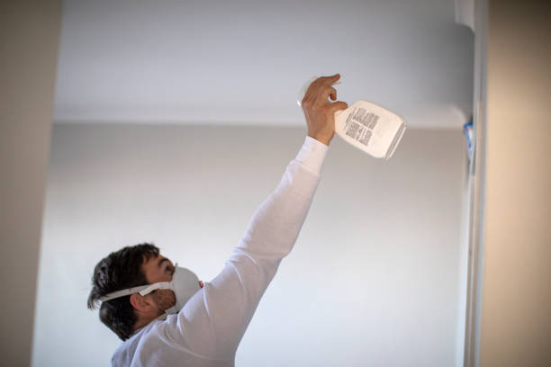 Best Commercial Mold Removal  in Del Rey Oaks, CA