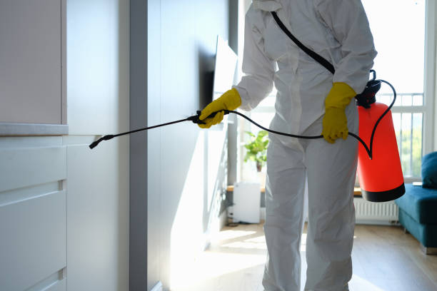 Best Toxic Mold Removal  in Del Rey Oaks, CA