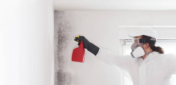 Best Mold Testing  in Del Rey Oaks, CA